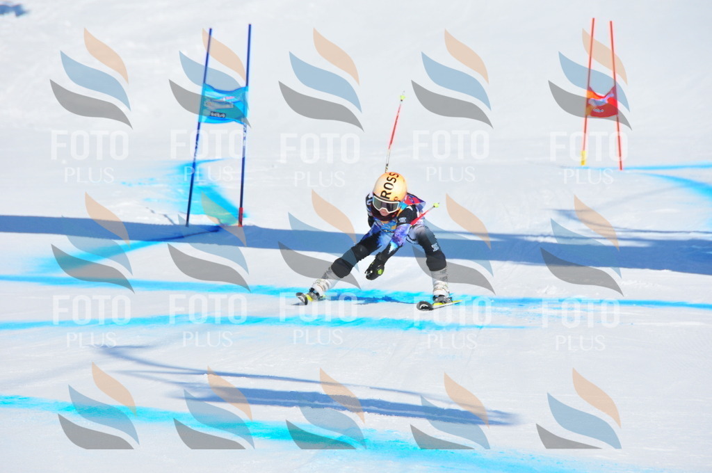 DSC_0967 | holidayphoto