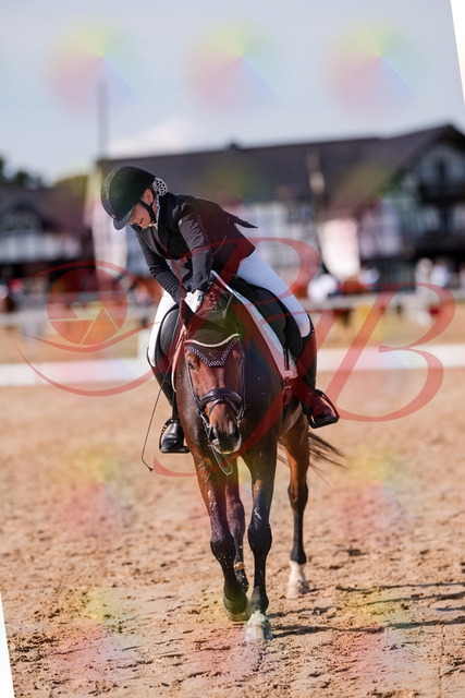 2026_10_03_Siefer-Hof_125859_Z81_50217162 | Professionelle Reitsport-, Turnier- und Eventfotografie von Robert Broda. Galerien mit ausgewählten und bearbeiteten Bildern direkt online ansehen und bestellen.