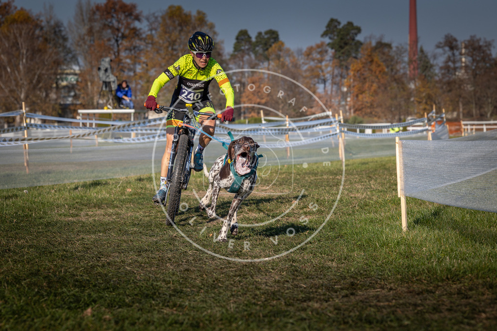 CaniXpix_0L8A6374 | Hundefotografie, Tierfotograf, Pfotenfotografie, Fotoshooting Hund, Hunde Portrait, Hundesport, Hundeportraits, Heideshooting, Hunde, Sportfotograf, Hundefotograf, Turnierhundsport, THS,  - Realisiert mit Pictrs.com