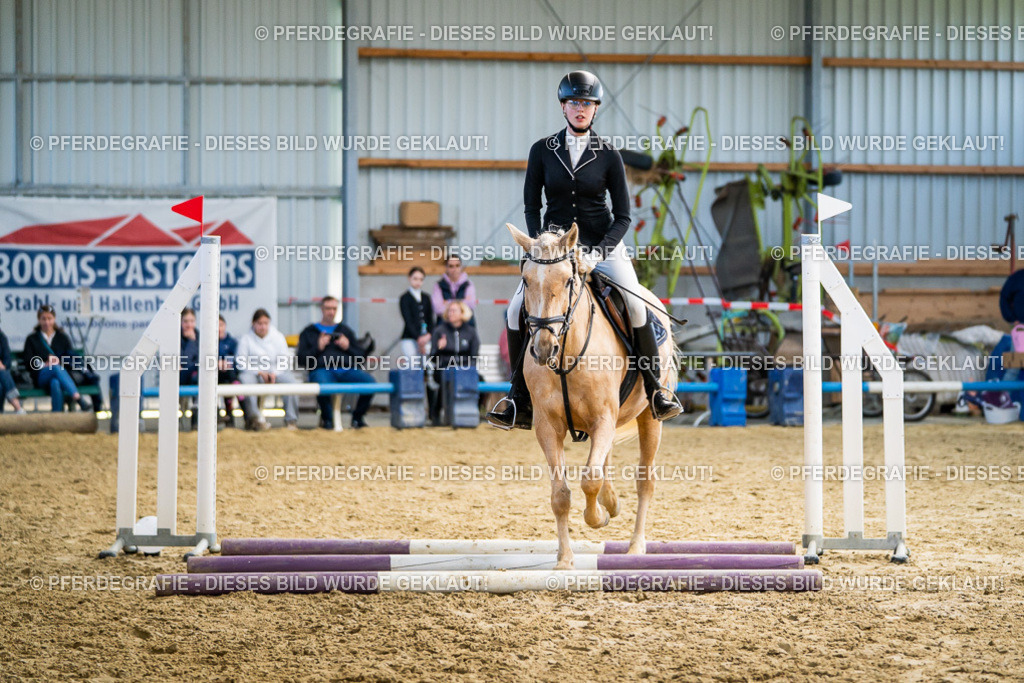 DSC01843 | Pferdegrafie