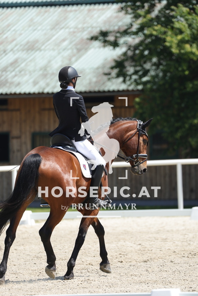 0P6A1626 | Willkommen bei Brunnmayr - Design & Fotografie – Ihrem Spezialisten für Reitturniere und Pferdeveranstaltungen in Oberösterreich, Salzburg und Bayern! Seit über 17 Jahren sind wir leidenschaftlich dabei.