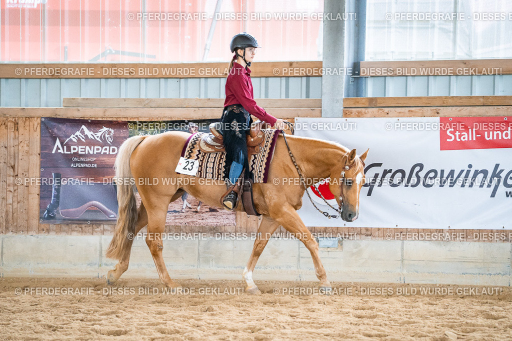 DSC01243 | Pferdegrafie