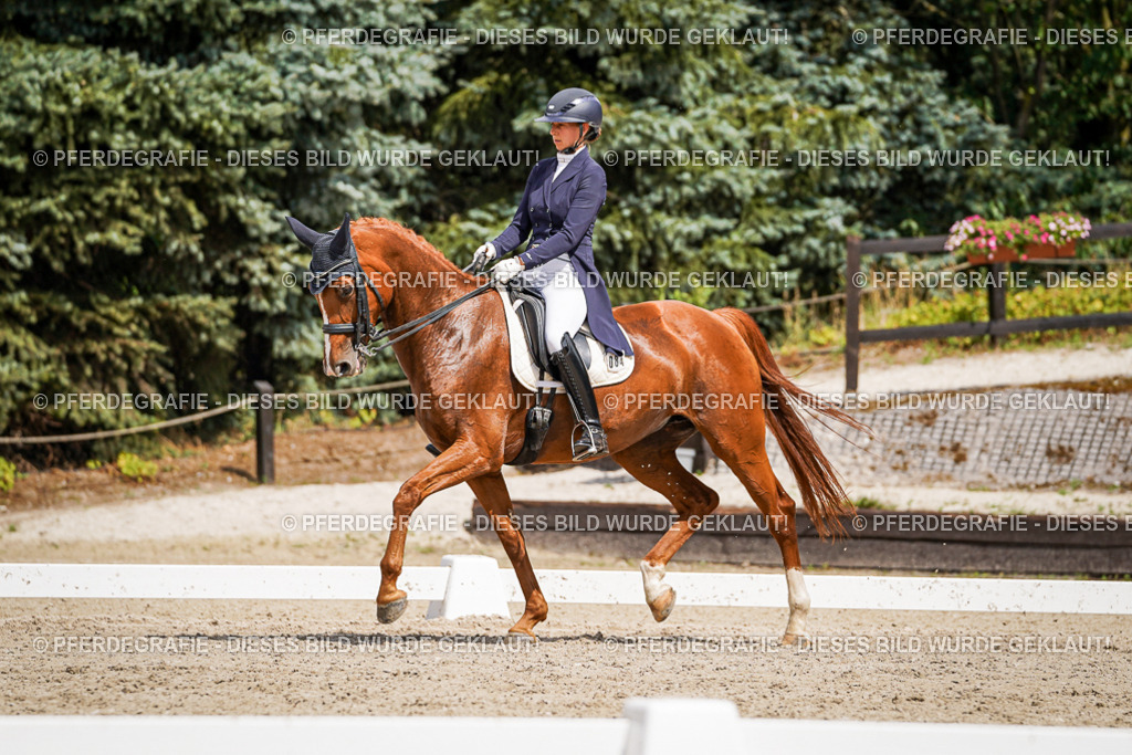 DSC06293 | Pferdegrafie