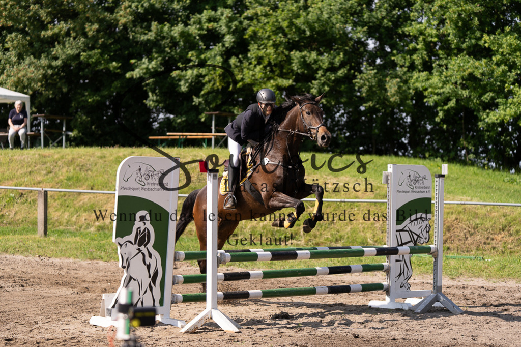 A7507286 | Turnier/Reitfotograf