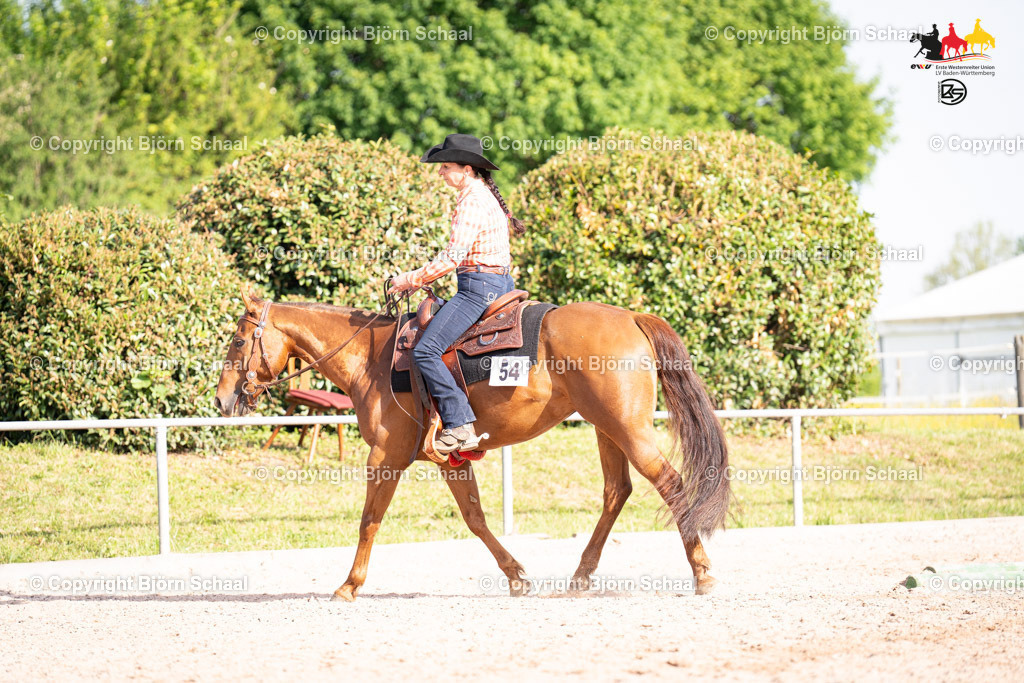 LMB08726 | BS-foto