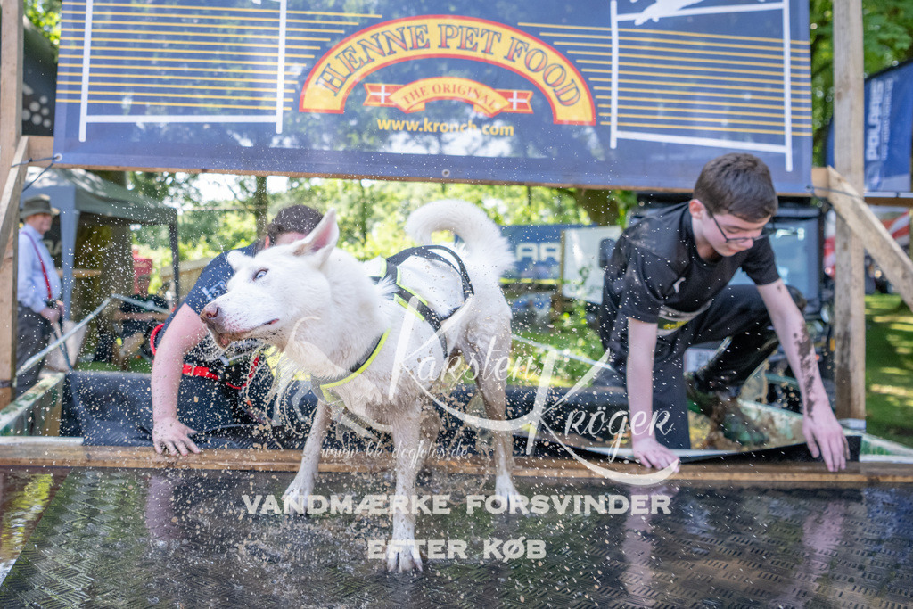 1402_ZZ93247 | kk-dogfotos