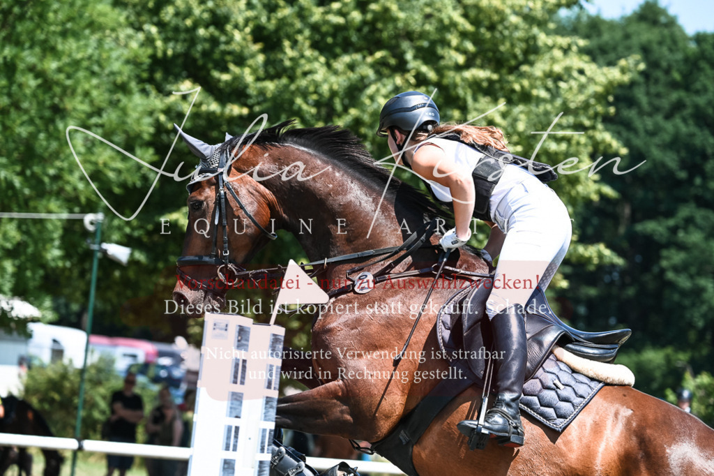 DSC_0228 | Pferde- und Turnierfotografie in Westsachsen. Pferdeportraits, Auftragszeichnungen und intuitive Kunst.