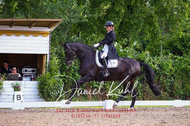 DKP41737 | Deine Turnierfotos vom Reitturnier online kaufen: Dressur, Springen & Siegerehrung. Professionelle Pferdefotografie aus dem Rheinland – als Download & Print.Alternative: Turnierfotograf für den Pferdesport: Finde deine Fotos von Dressur- und Springturnier