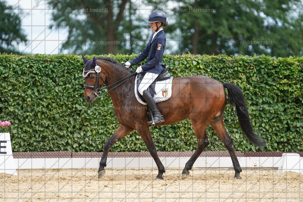 20240630-FAH02205 | Turnierbilder Schwabmünchen, Dressurbilder, Springreitturnier, Reitsportbilder, Turnierfotografen Bayern, Turnierfotograf