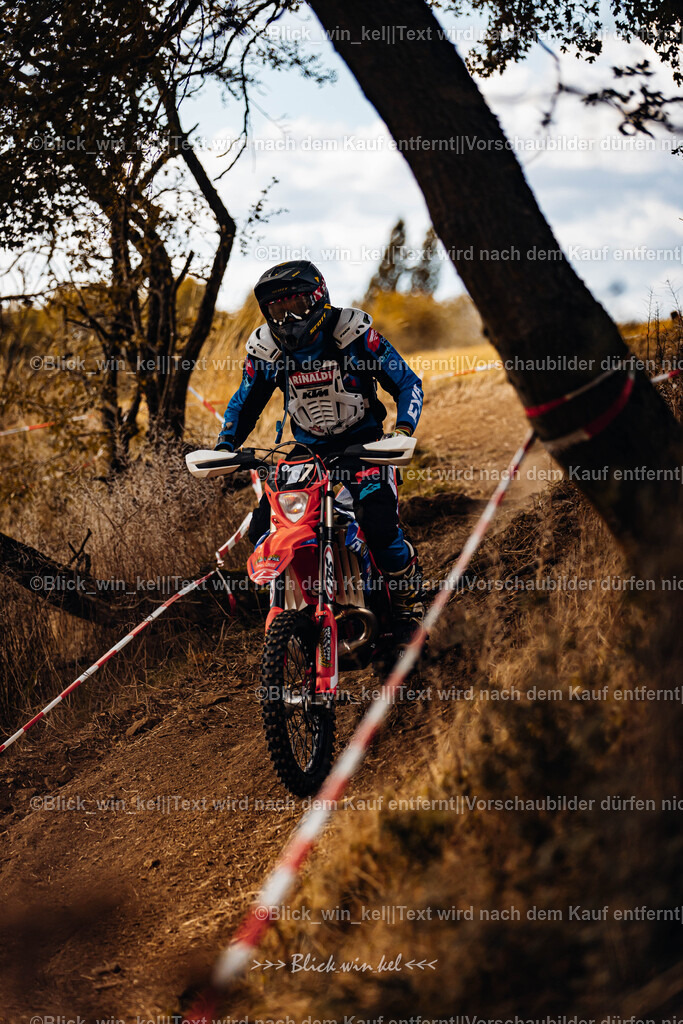 E68A3013 | blick_win_kel