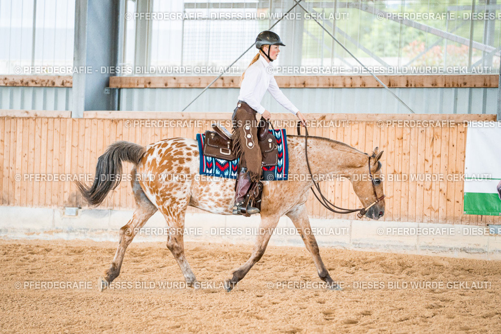 DSC09396 | Pferdegrafie