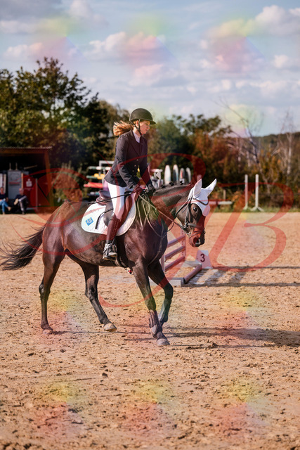 2026_10_03_Siefer-Hof_153550_Z81_48166893 | Professionelle Reitsport-, Turnier- und Eventfotografie von Robert Broda. Galerien mit ausgewählten und bearbeiteten Bildern direkt online ansehen und bestellen.