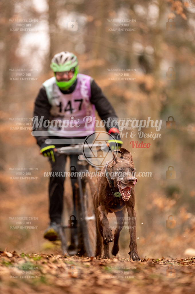 AKM_ST_2023_SAM_Scooter-10 | PayLife