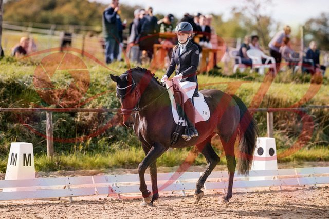 2026_10_03_Siefer-Hof_121335_Z81_14023543 | Professionelle Reitsport-, Turnier- und Eventfotografie von Robert Broda. Galerien mit ausgewählten und bearbeiteten Bildern direkt online ansehen und bestellen.