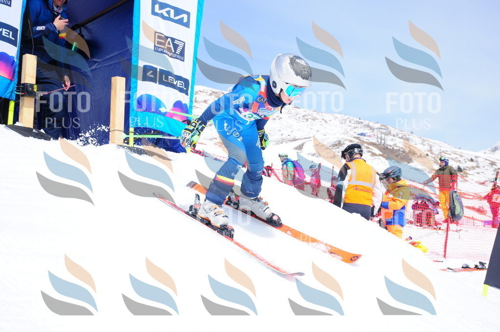 DSC_3220 | holidayphoto