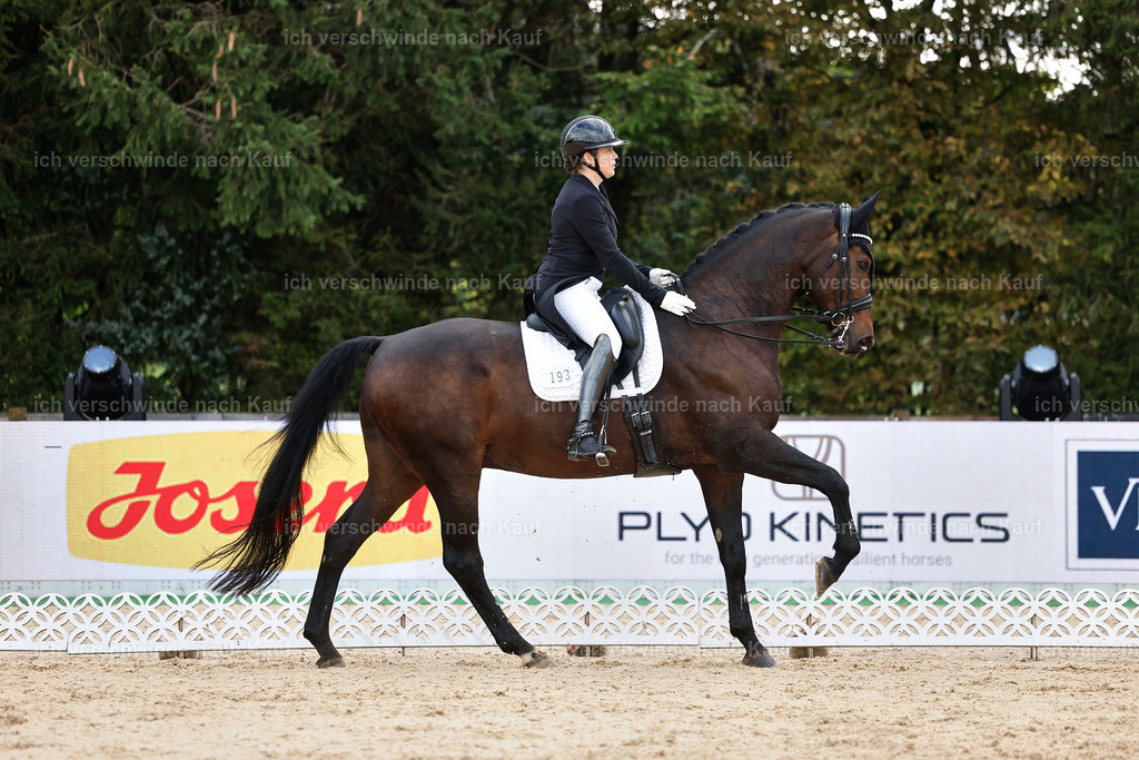 10-193-ST.GEORG SPECIAL -StoibPH-3232 | working equitationturnier fotograf videograf stoibphotography marixx film working equitation deutschland reitsport turnierfotografie eventfotografie equestrian events