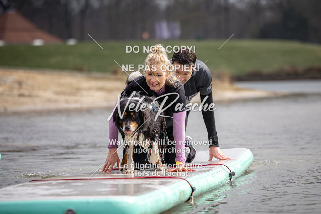 nelerasche_Hulsbeek_Sa1130-1230_546 | nelerasche