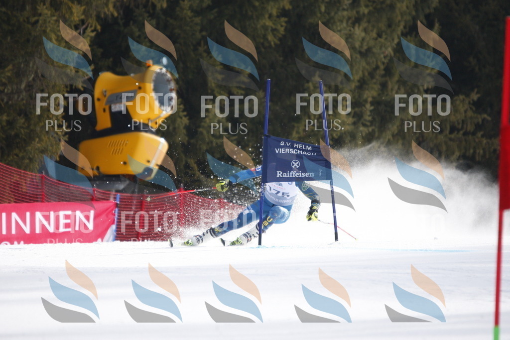 D7583 | holidayphoto