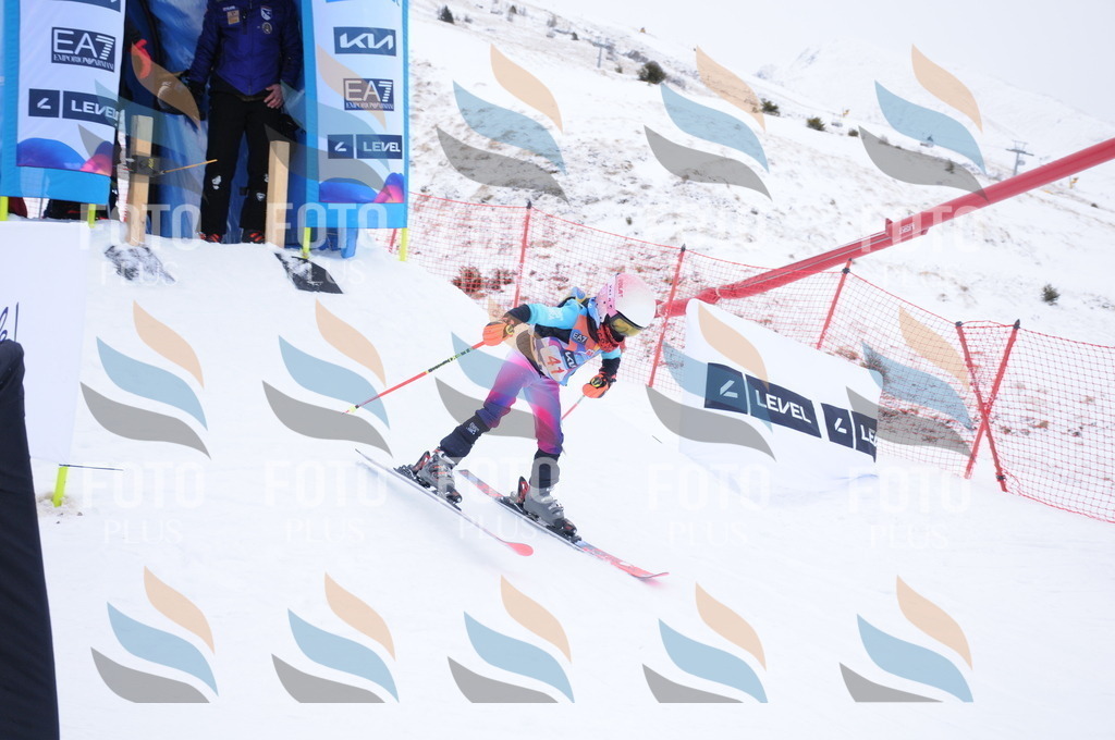 DSC_7866 | holidayphoto