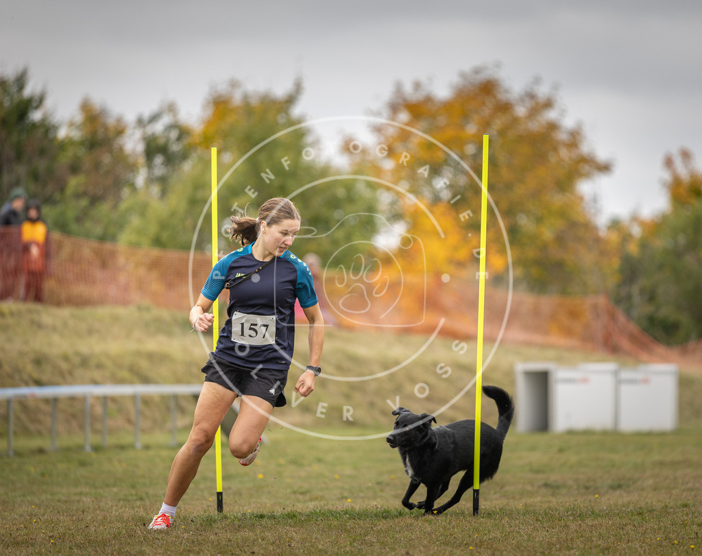 Pfotenfotografie_DV3A5182 | Hundefotografie, Tierfotograf, Pfotenfotografie, Fotoshooting Hund, Hunde Portrait, Hundesport, Hundeportraits, Heideshooting, Hunde, Sportfotograf, Hundefotograf, Turnierhundsport, THS,  - Realisiert mit Pictrs.com