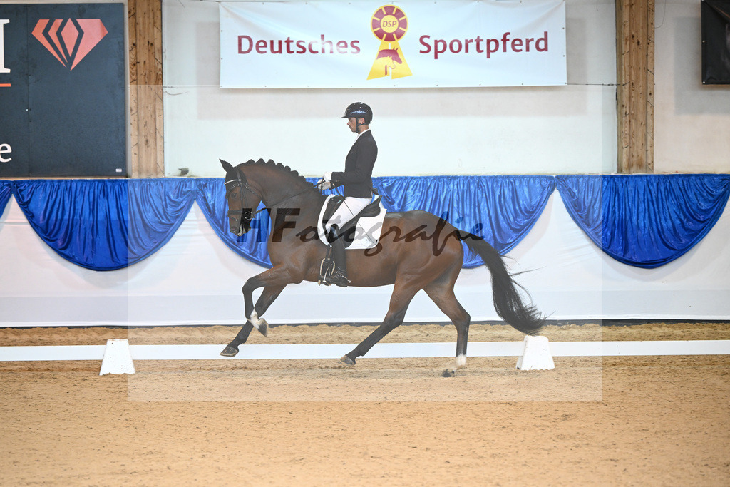 Kat-Nr. 39 Django_v d Vorst_14240518 | hf-fotografie - Realisiert mit Pictrs.com