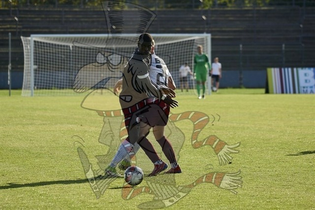 BFC Dynamo vs. Berliner AK 07 092 | mythos-online-redaktion