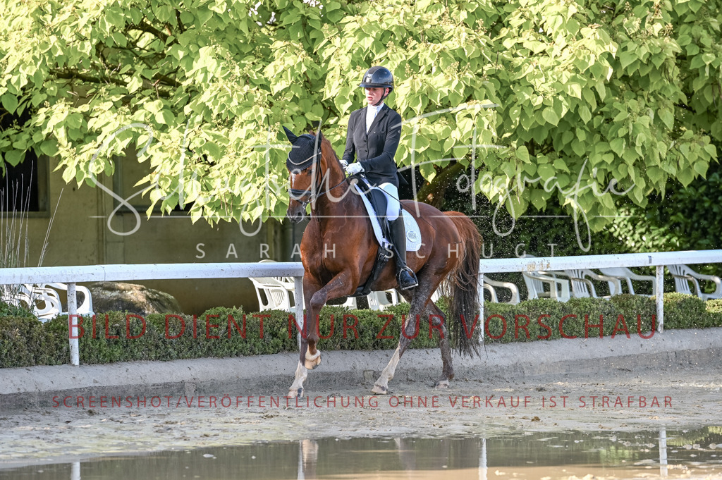 Schugtsche-Aluta25-54.Dressurprf.L1Trense-253 | Schugtsche Fotografie - Realisiert mit Pictrs.com