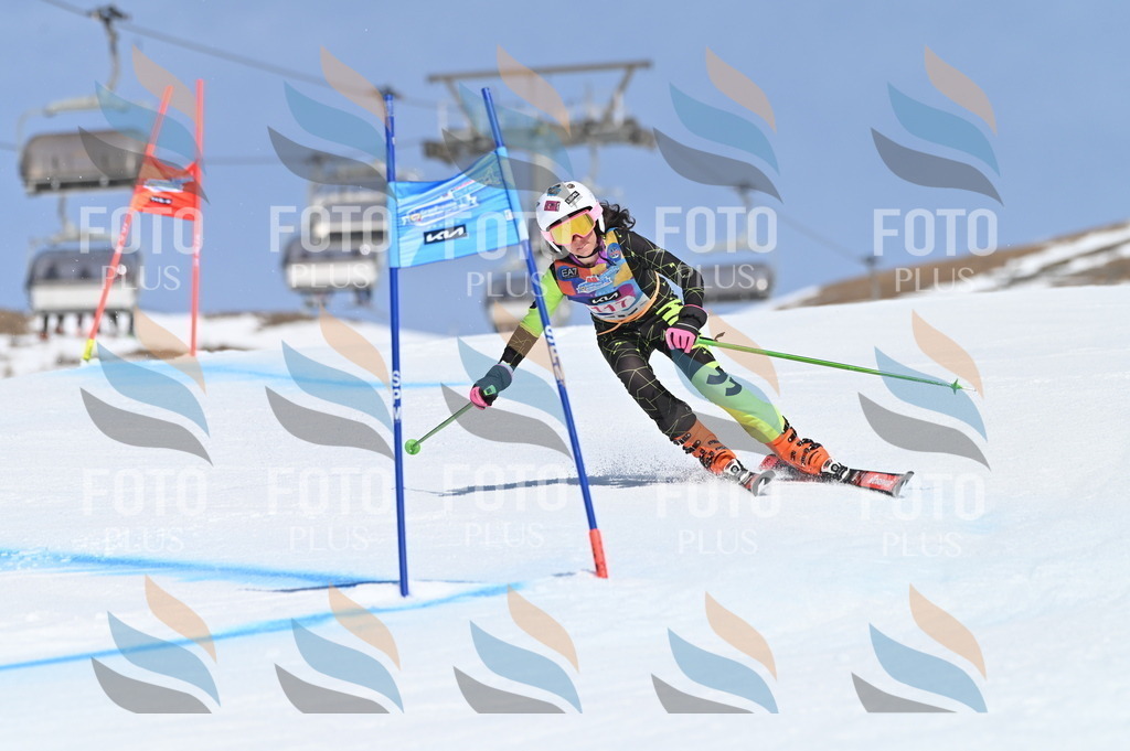 BGV_9753 | holidayphoto