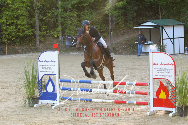 DKP42679 | Deine Turnierfotos vom Reitturnier online kaufen: Dressur, Springen & Siegerehrung. Professionelle Pferdefotografie aus dem Rheinland – als Download & Print.Alternative: Turnierfotograf für den Pferdesport: Finde deine Fotos von Dressur- und Springturnier
