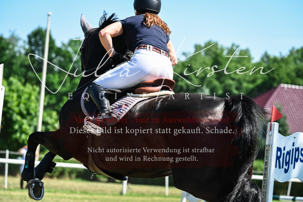 DSC_1049 | Pferde- und Turnierfotografie in Westsachsen. Pferdeportraits, Auftragszeichnungen und intuitive Kunst.