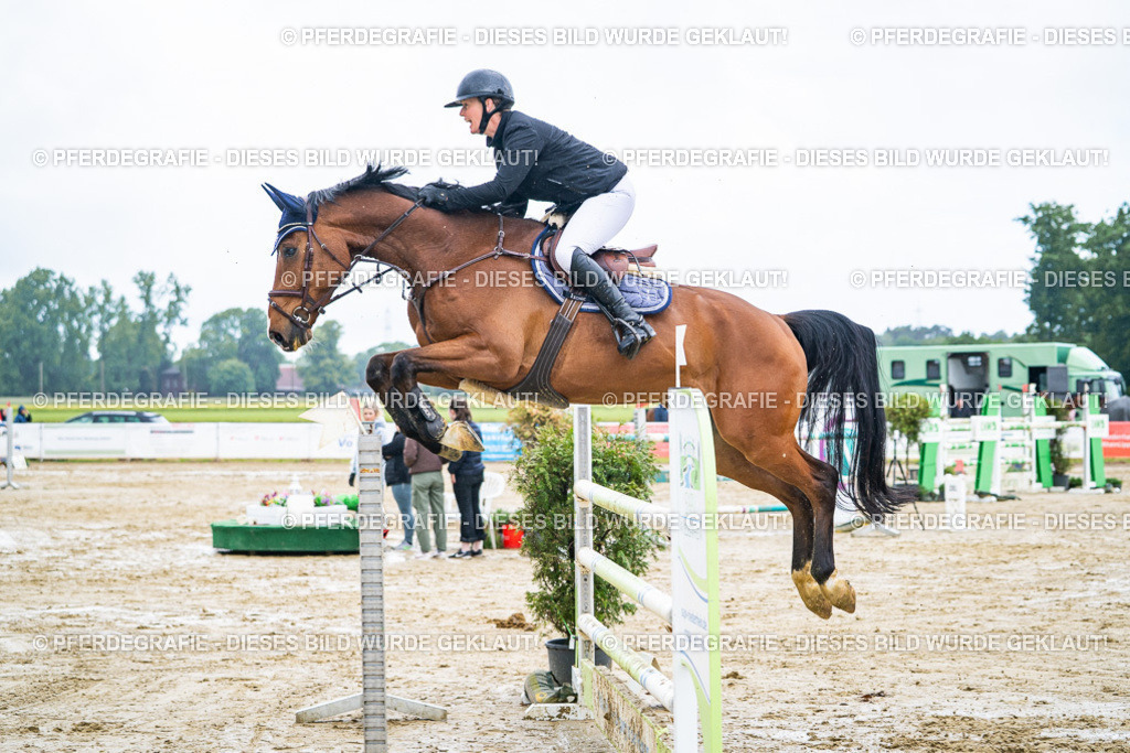 DSC03837 | Pferdegrafie