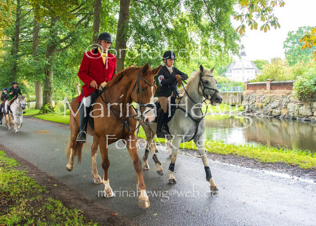 Jagd Kletkamp 26-9576_MarinaHewig | Fotografie, FotoArt, PferdesportArt, Pferdesportfotografie, Landschaftsfotografie, Reisefotografie, Reise, Pferde - Realisiert mit Pictrs.com