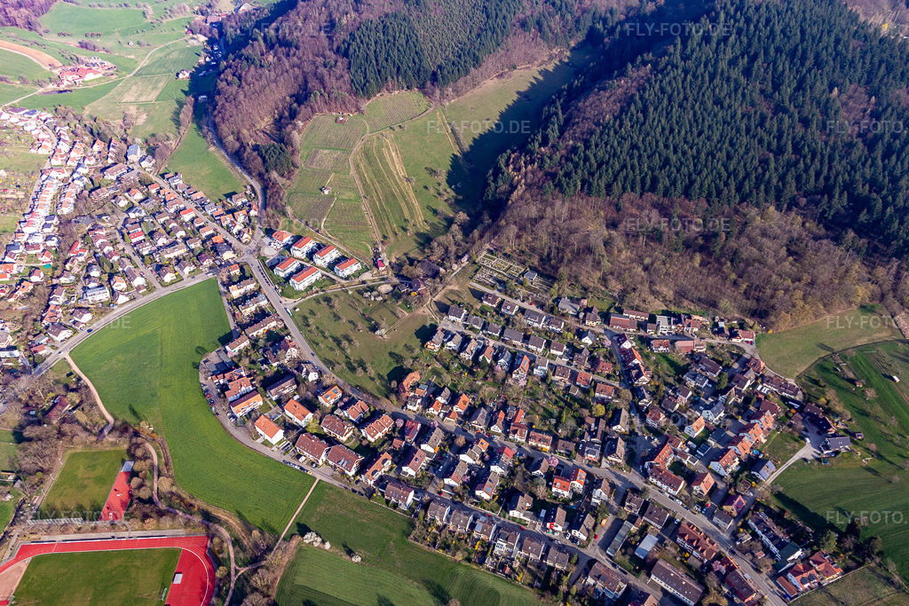 Luftbild: Wildtal in Gundelfingen im Bundesland Baden-Württemberg in Deutschland. Foto: IMG_113045.jpg vom 22.03.2019 durch Werner Riehm/FLY-FOTO.de