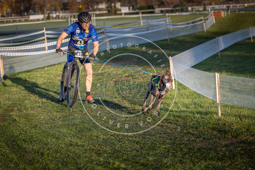 CaniXpix_0L8A3127 | Hundefotografie, Tierfotograf, Pfotenfotografie, Fotoshooting Hund, Hunde Portrait, Hundesport, Hundeportraits, Heideshooting, Hunde, Sportfotograf, Hundefotograf, Turnierhundsport, THS,  - Realisiert mit Pictrs.com