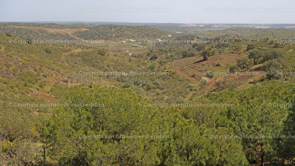 Hügellandschaft zwischen Monte Gordo und Azinhal | Hügellandschaft zwischen Monte Gordo und Azinhal: Die Gegend wird hügeliger und trockener. Die Vegetation besteht vorwiegend aus Zistrosen, Oliven-, Mandel- und Johannisbrotbäumen. - Realisiert mit Pictrs.com