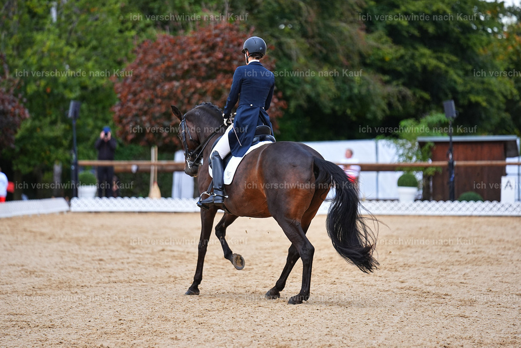 8_1-087-Klasse S_  -Marixx-4110 | working equitationturnier fotograf videograf stoibphotography marixx film working equitation deutschland reitsport turnierfotografie eventfotografie equestrian events