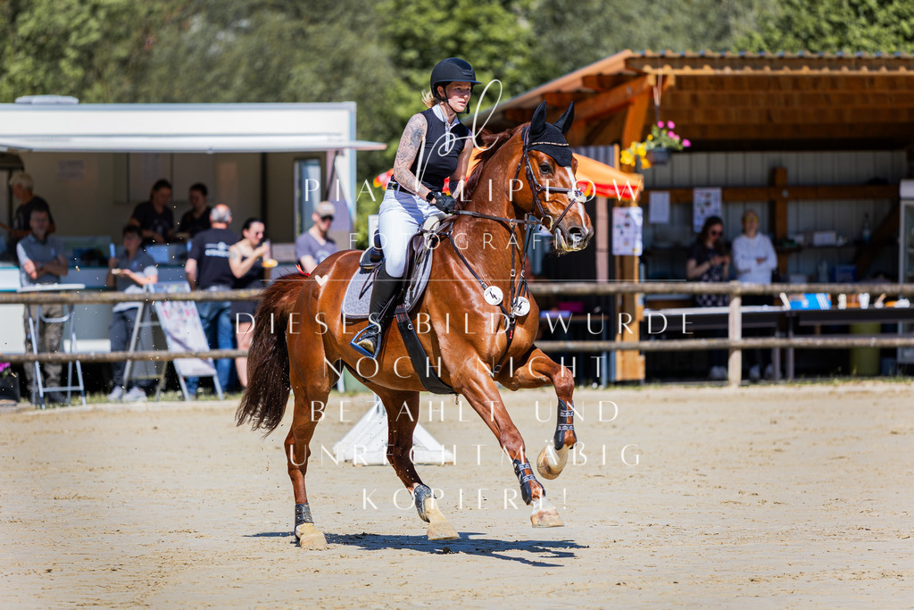 IMGS7201 | pl-fotografie