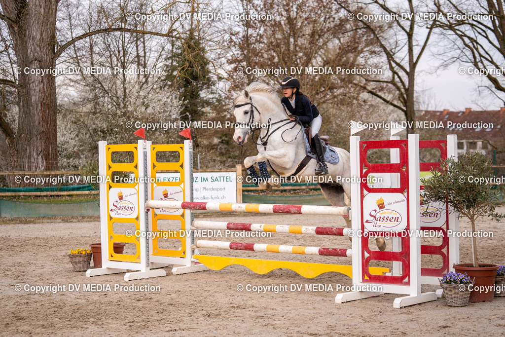 Kranichstein Tag 2-1224 | dv-media-shop - Realisiert mit Pictrs.com