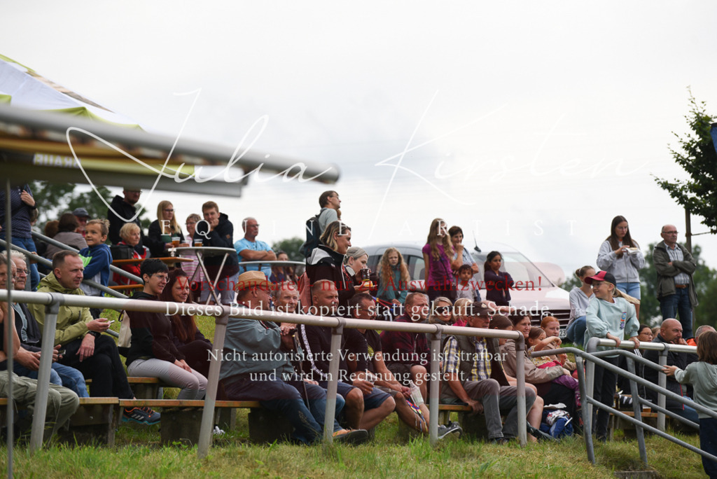 DSC_4008 | Pferde- und Turnierfotografie in Westsachsen. Pferdeportraits, Auftragszeichnungen und intuitive Kunst.
