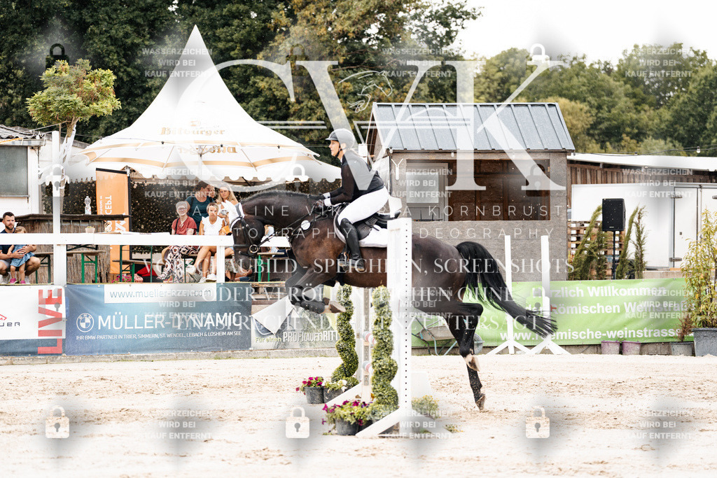 CK908639 | Turnierfotografie Pferdefotografie Trier Rheinland-Pfalz Pferdesport Reitsport Tierfotografie Sportfotografie Pferdevideo Pferdevideografie Equestrianvideography equestrianphotography  - Realisiert mit Pictrs.com