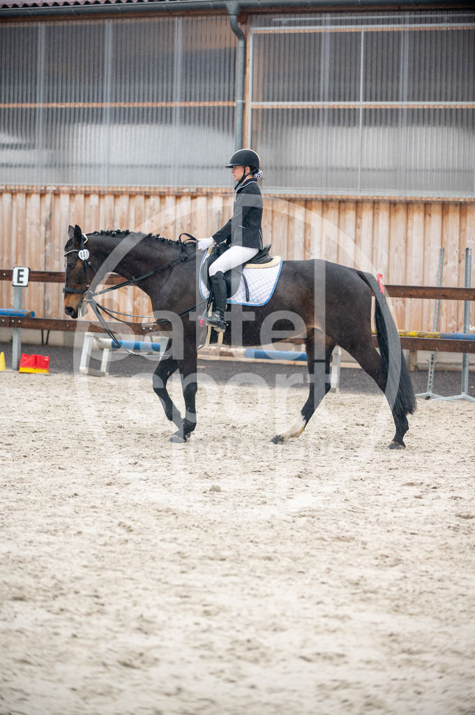 DSC_5633 | sattelsport - Realisiert mit Pictrs.com