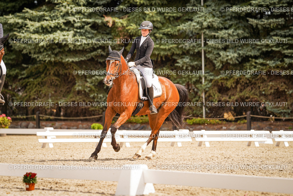 DSC01687 | Pferdegrafie