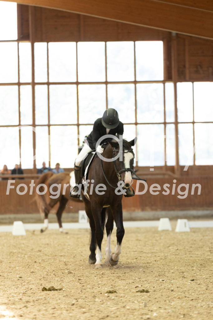 IMG_5196 | Creatify Fotografie