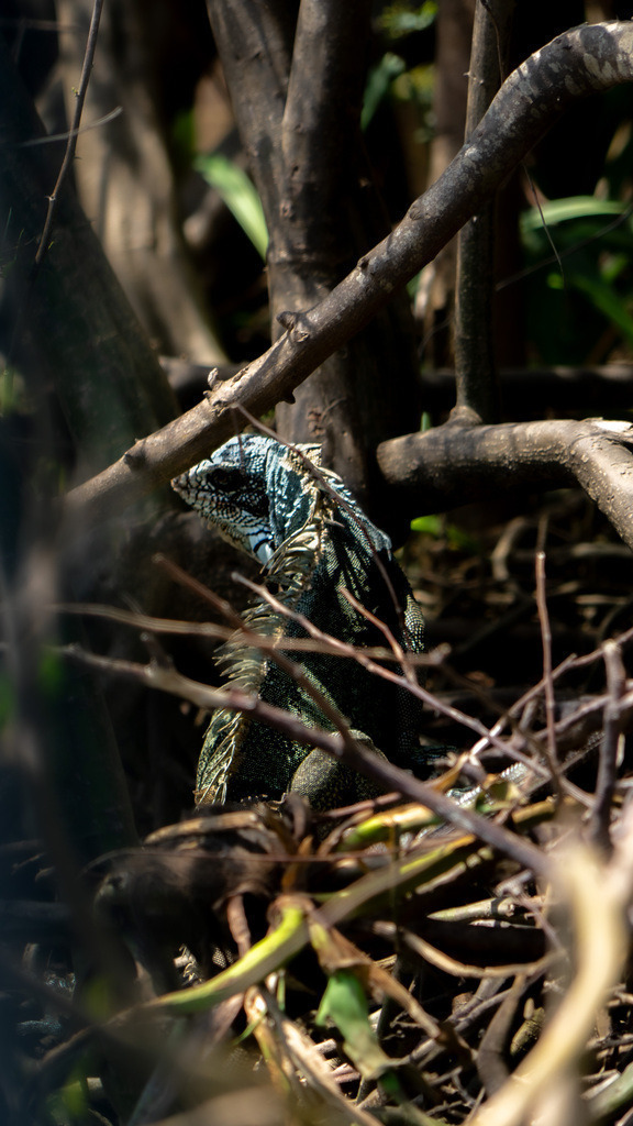 20251112-DeltaTour-0013 | paulependelt - Realisiert mit Pictrs.com