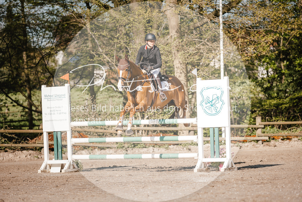 3I6A3600 | Stimmungsvolle Portraits und Reitsportfotografie im Ruhrgebiet und im Münsterland.

Pferdefotografie, Hundefotografie, Tierfotografie, Reportagen, Portraits von Tier und Mensch, Turnierfotografie in Bochum, Recklinghausen, Marl, Haltern am See, Dülmen.. - Realisiert mit Pictrs.com