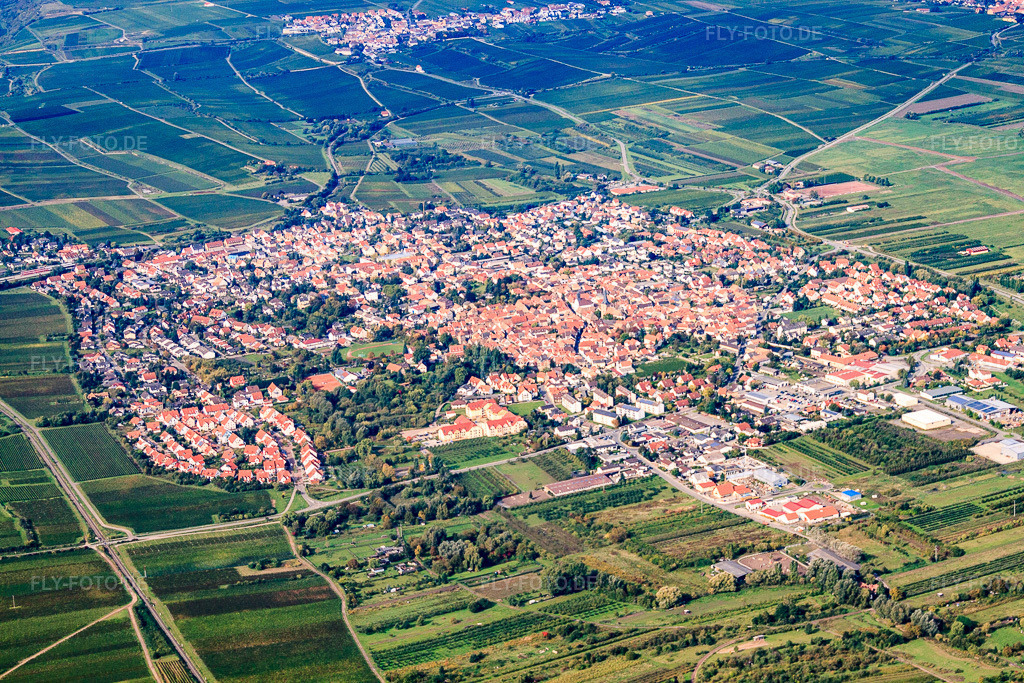 Luftbild: Ortsansicht von Osten in Freinsheim im Bundesland Rheinland-Pfalz in Deutschland. Foto: IMG_34364.jpg vom 03.10.2010 durch Werner Riehm/FLY-FOTO.deAuflösung des Originals: 4752 x 3168 px
