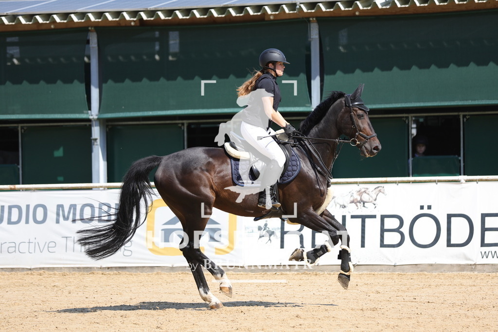0P6A5730 | Willkommen bei Brunnmayr - Design & Fotografie – Ihrem Spezialisten für Reitturniere und Pferdeveranstaltungen in Oberösterreich, Salzburg und Bayern! Seit über 17 Jahren sind wir leidenschaftlich dabei.