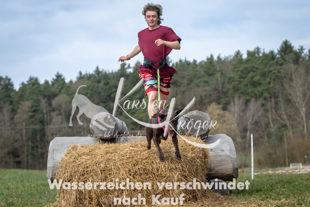 1056_ZZ94940 | kk-dogfotos