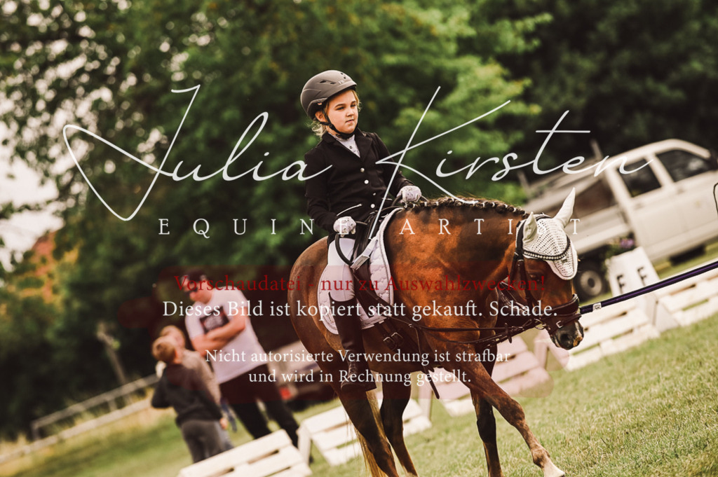 DSC_5247 | Pferde- und Turnierfotografie in Westsachsen. Pferdeportraits, Auftragszeichnungen und intuitive Kunst.