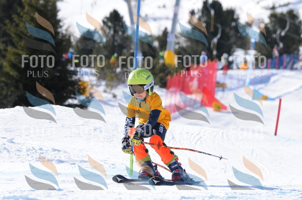 C7101 | holidayphoto